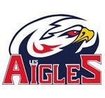 Logo nice new